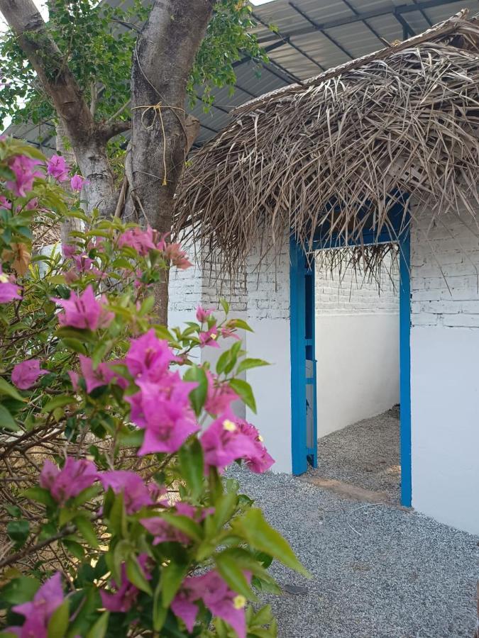 Hostel Calaila Varkala Dış mekan fotoğraf